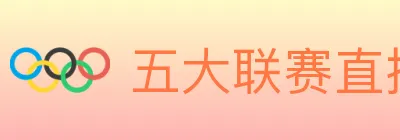 五大联赛直播 logo